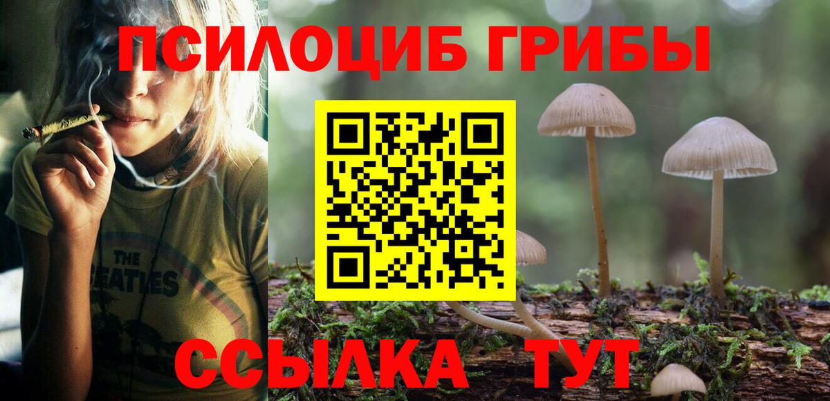 Галлюциногенные грибы прущие грибы Калуга